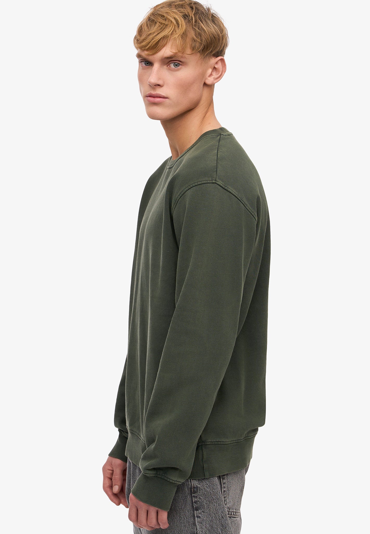 COLORFUL STANDARD - Classic Organic Crew - Midnight Forest - BACKYARD