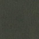 COLORFUL STANDARD - Classic Organic Crew - Midnight Forest - BACKYARD