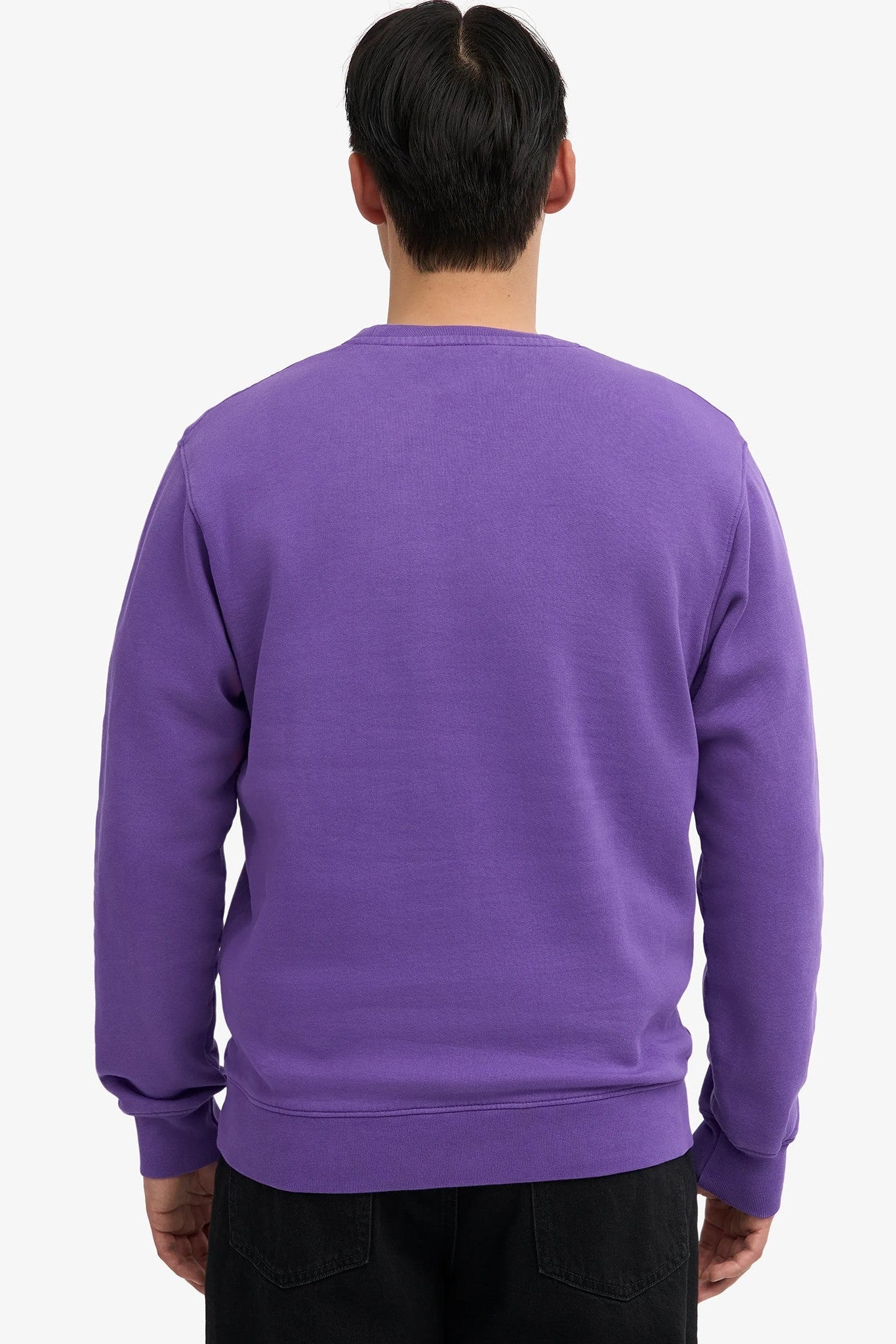 COLORFUL STANDARD - Classic Organic Crew - Ultra Violet - BACKYARD