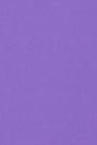 COLORFUL STANDARD - Classic Organic Hood - Ultra Violet - BACKYARD