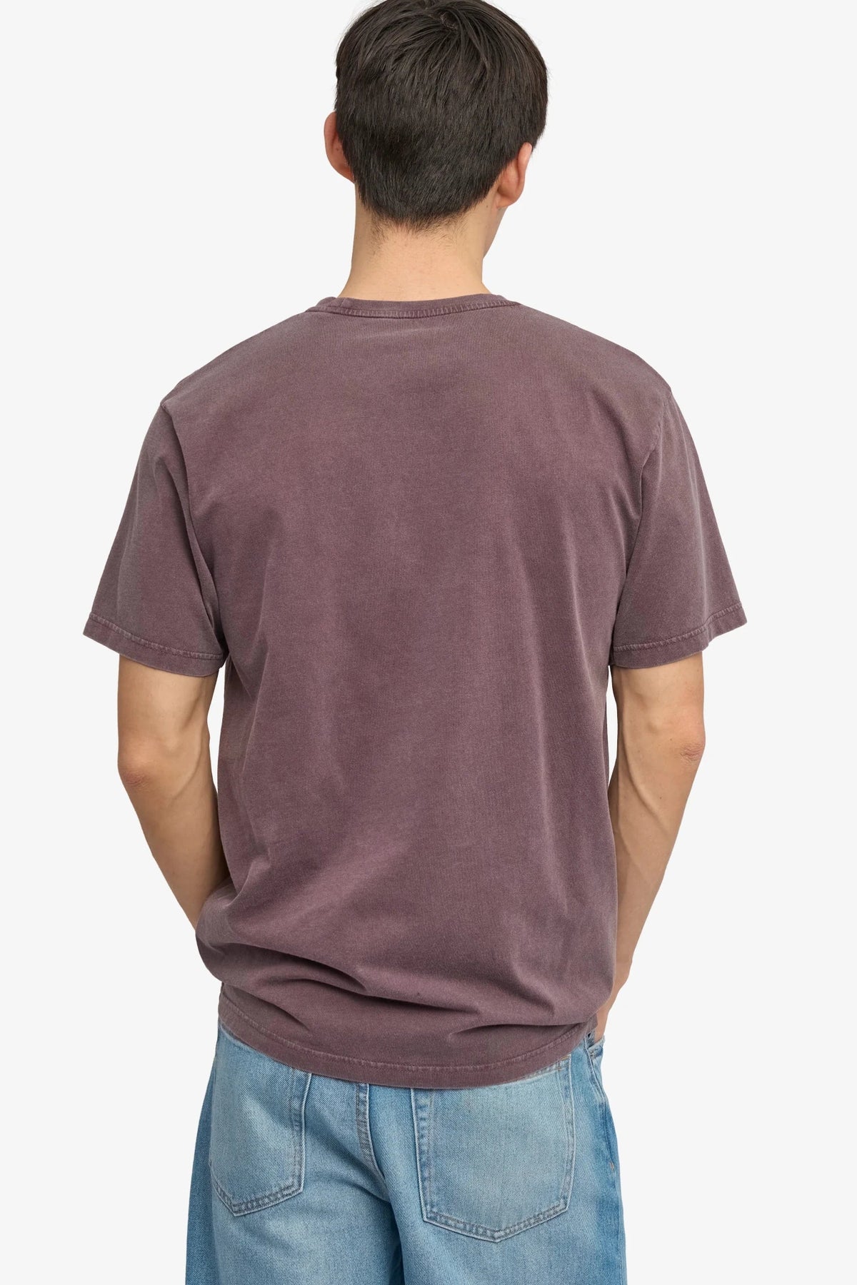 COLORFUL STANDARD-Classic Organic Tee-Faded Grape-BACKYARD