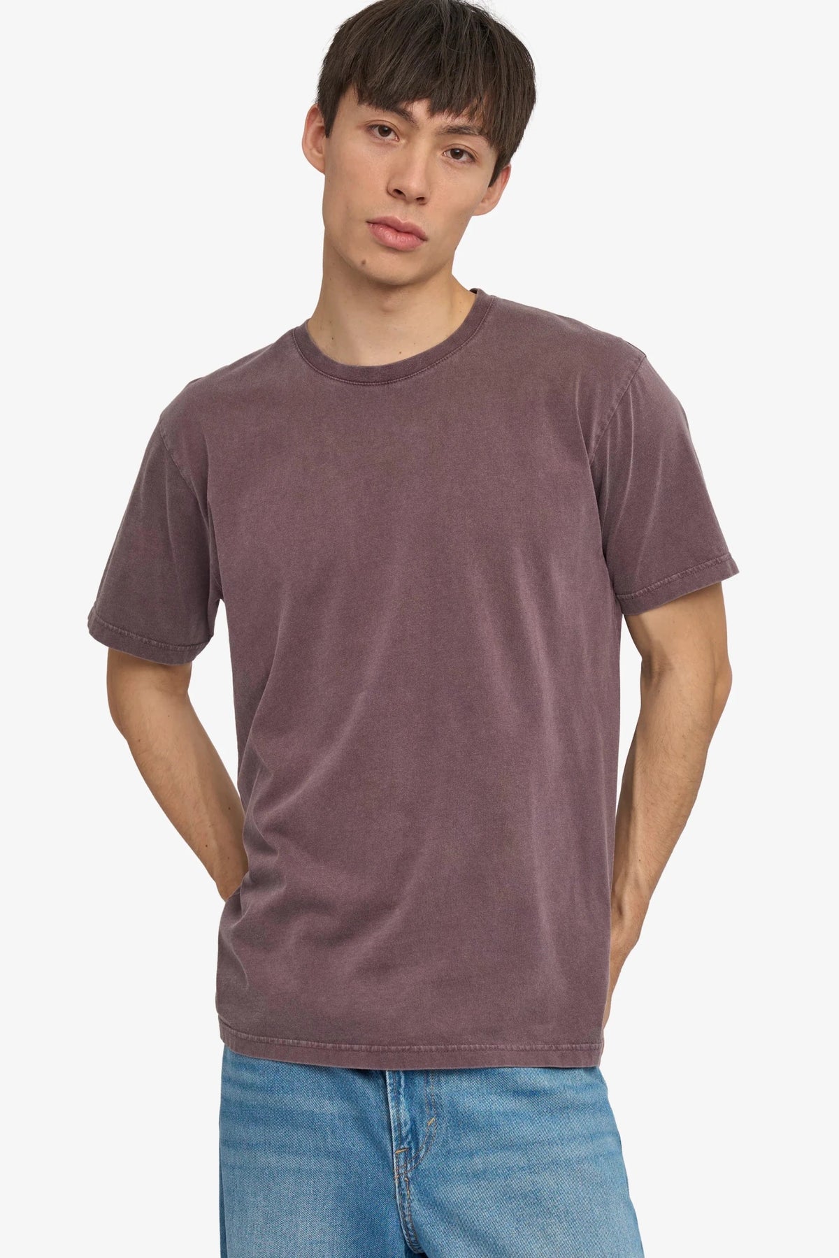 COLORFUL STANDARD-Classic Organic Tee-Faded Grape-BACKYARD