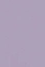 COLORFUL STANDARD - Classic Organic Tee - Purple Jade - BACKYARD