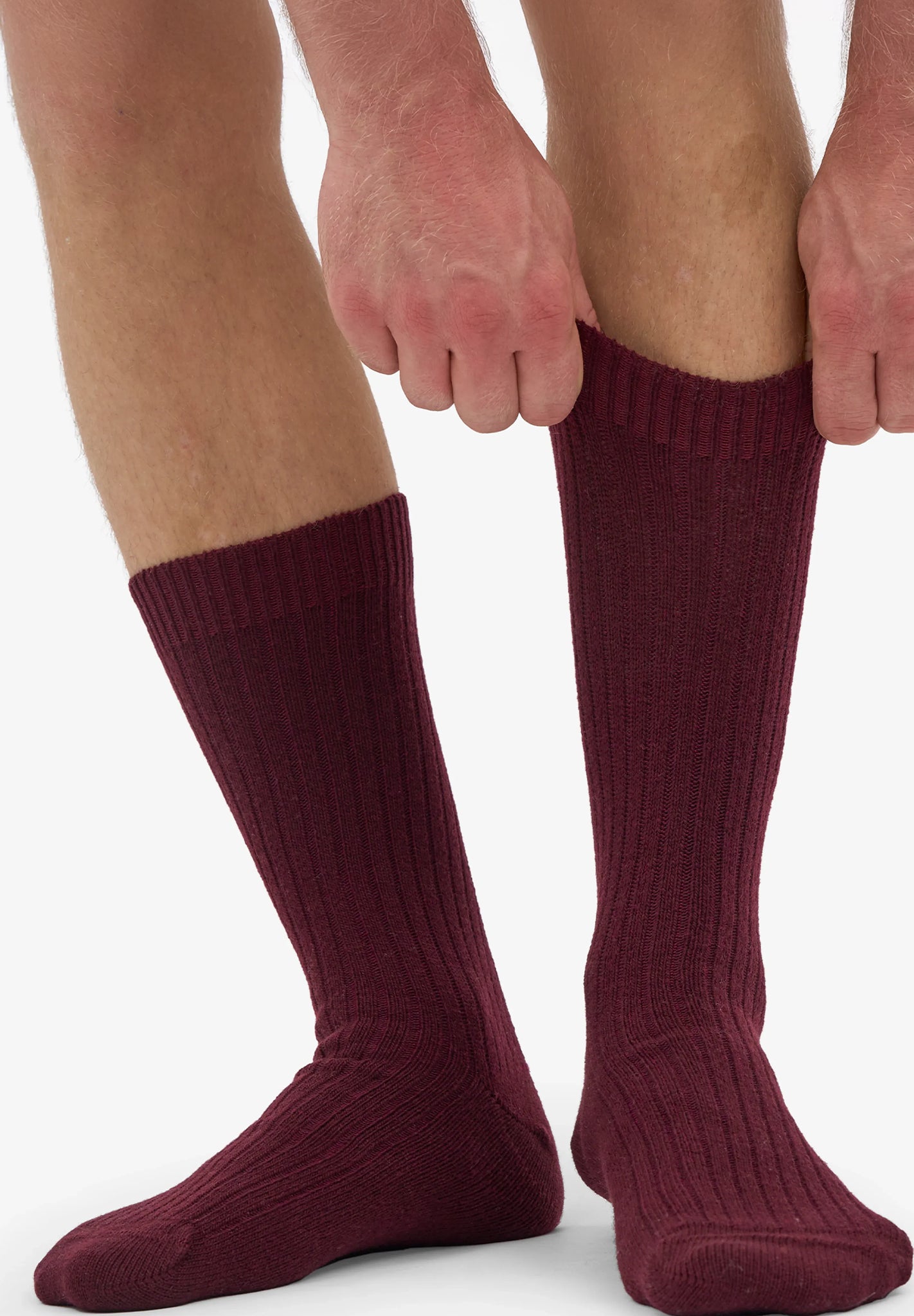 COLORFUL STANDARD - Merino Wool Blend Sock - Oxblood Red - BACKYARD