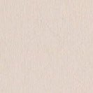 COLORFUL STANDARD - Merino Wool Scarf - Ivory White - BACKYARD