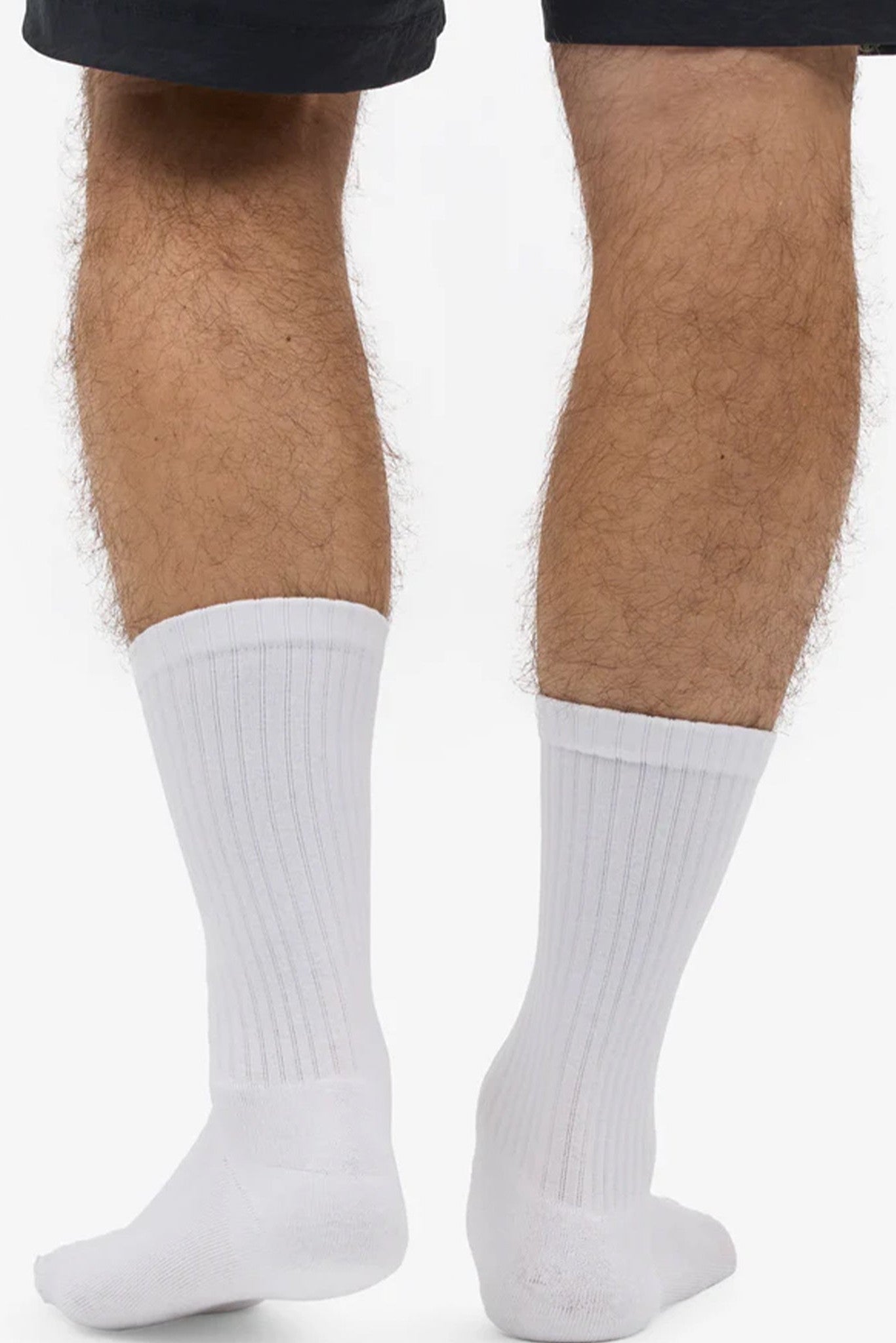 COLORFUL STANDARD - Organic Active Sock - Optical White - BACKYARD