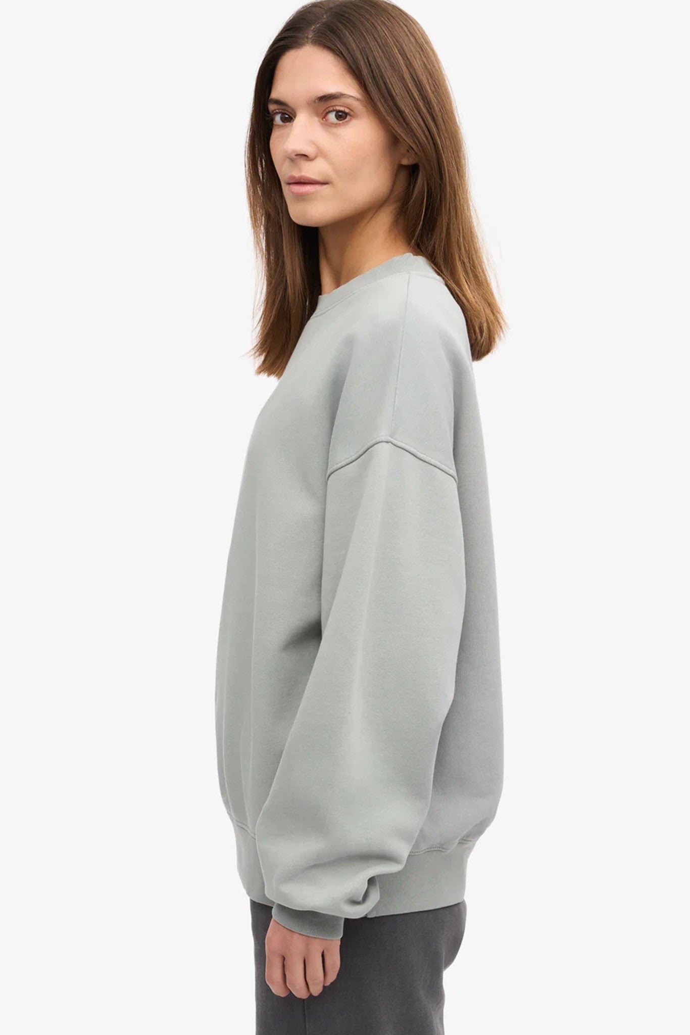 COLORFUL STANDARD - Organic Oversized Crew - Steel Blue - BACKYARD