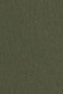 DIDRIKSONS - Helle Women’s Parka 6 - Deep Green - BACKYARD