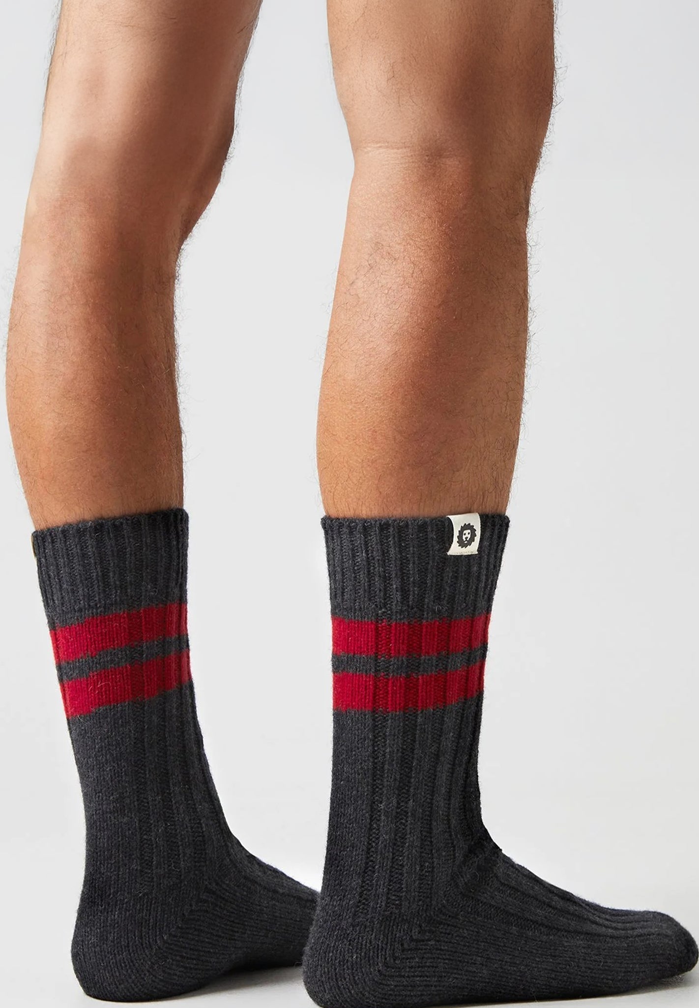 JIMMY LION - Premium Winter Rec - Dark Gray - BACKYARD