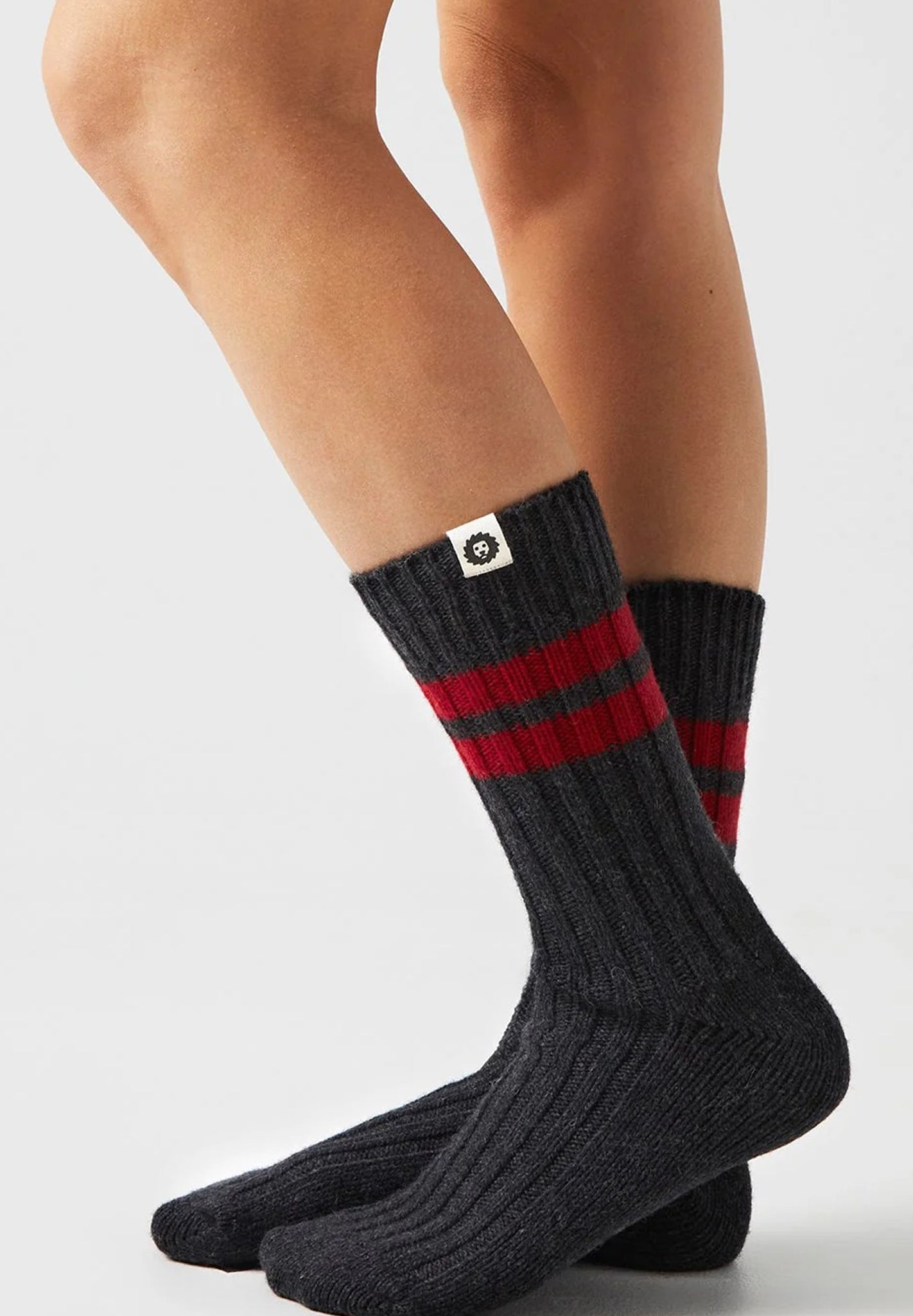 JIMMY LION - Premium Winter Rec - Dark Gray - BACKYARD