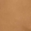 KNOWLEDGE COTTON - Chuck Regular Chino Twill Pants - Tuffet - BACKYARD