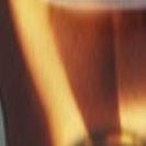 KOMONO - Ana - Tortoise - BACKYARD