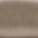 KOMONO - Francis - Musk - BACKYARD