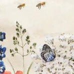 PAPRCUTS - Blumenwiese Kulturbeutel - Blumenwiese - BACKYARD