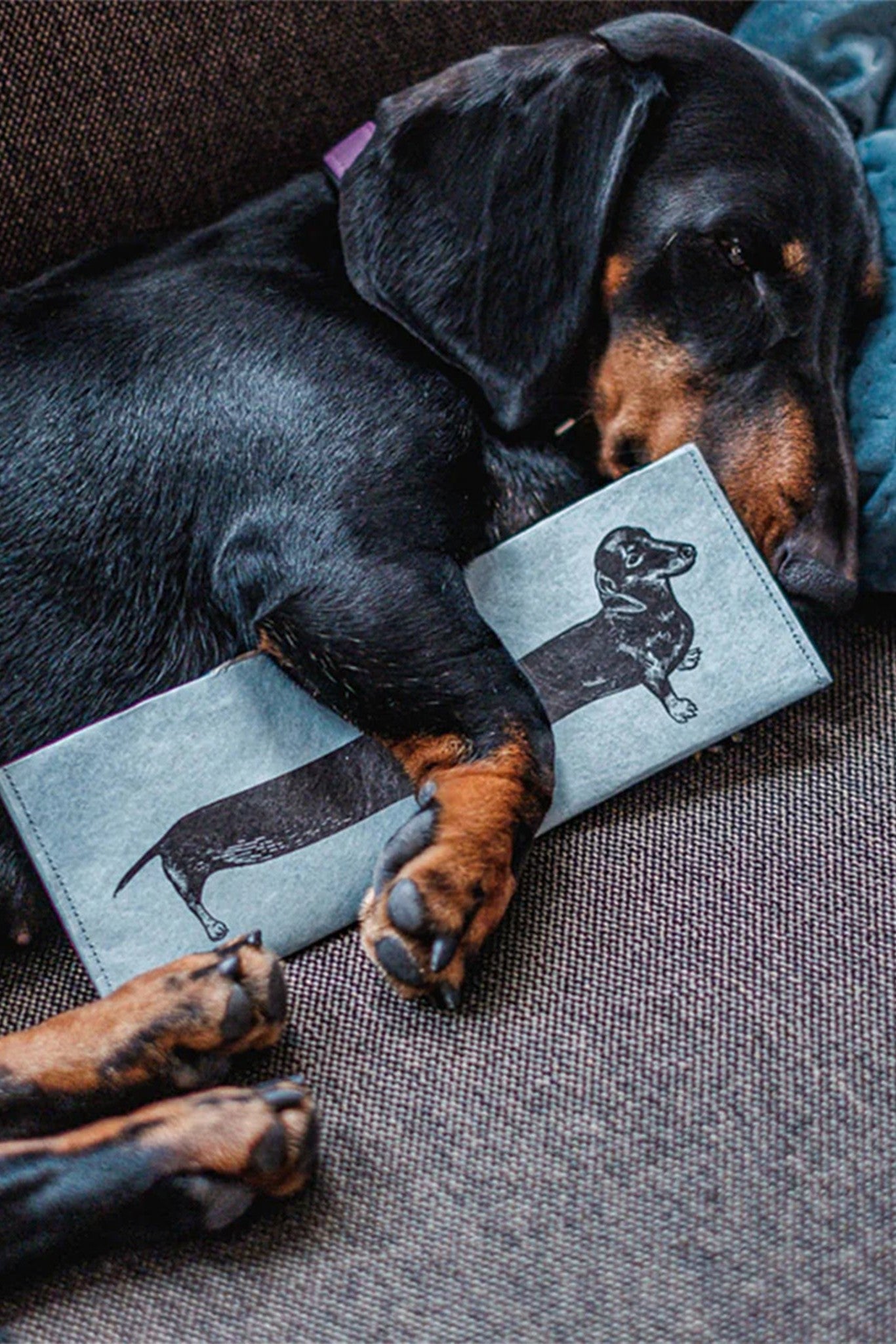 PAPRCUTS - RFID Portemonnaie - Sausage Dog - BACKYARD