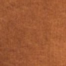 PASSENGER - Backcountry Cord Shirt - Toffee - BACKYARD