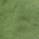 PASSENGER-Carriso Organic Cotton Shorts-Vineyard Green-BACKYARD