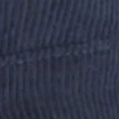 PASSENGER - Forest Hat - Deep Navy - BACKYARD