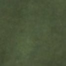 PASSENGER - Meadows 2.0 Organic Cotton Corduroy Dungarees - Fir Tree - BACKYARD