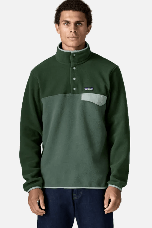 PATAGONIA-Men's Lightweight Synchilla Snap-T Pullover-Canopy Green-BACKYARD