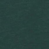 RECOLUTION-Mithila-Deep Green-BACKYARD