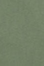 RECOLUTION - Musa - Khaki - BACKYARD