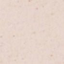 SESSUN - Chebbi - Ballerina - BACKYARD