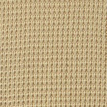 TWOTHIRDS-Teresa-Cream-BACKYARD